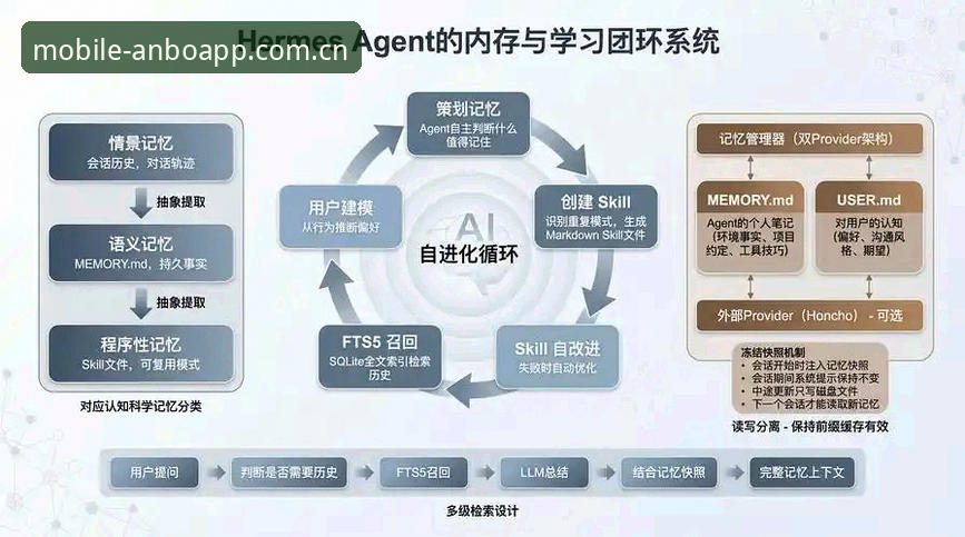 深度揭秘：安博体育登录背后的技术架构与用户体验真相